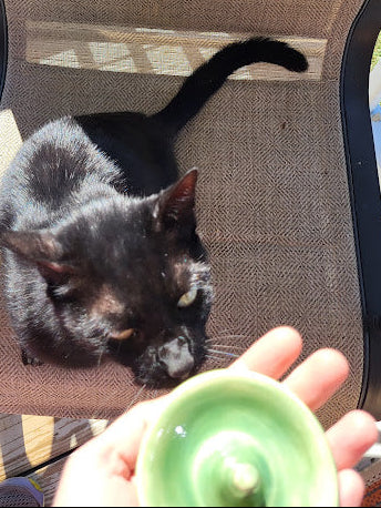 Light Green Ring Holder